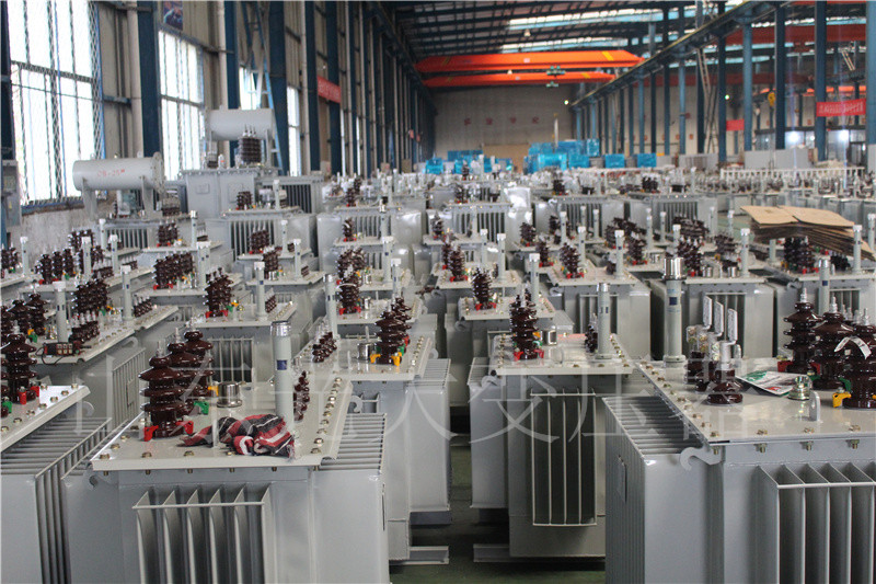 岷县S22-800KVA/10KV油浸式变压器